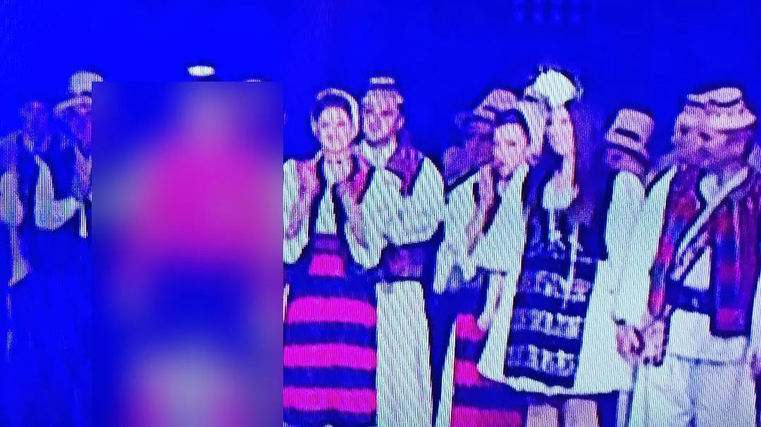 Eurovision 2016 - Aparitie complet surprizatoare pe scena finalei: nu are nicio treaba cu cantatul