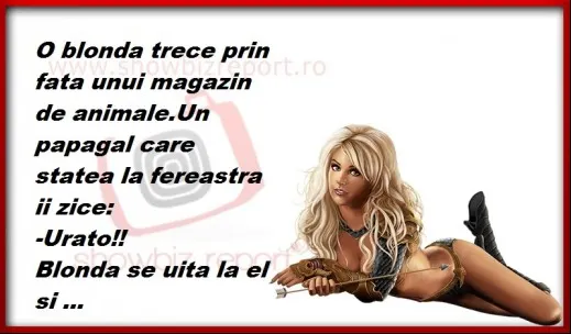 BANCUL ZILEI: Blonda și papagalul GENIAL