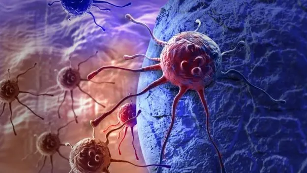 Descoperire uimitoare: Acest aliment banal distruge celulele canceroase