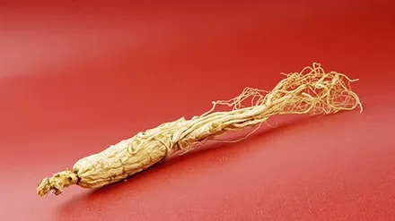 Tratamentul naturist cu ginseng roşu te poate scăpa de cancer. Descoperă-i beneficiile!