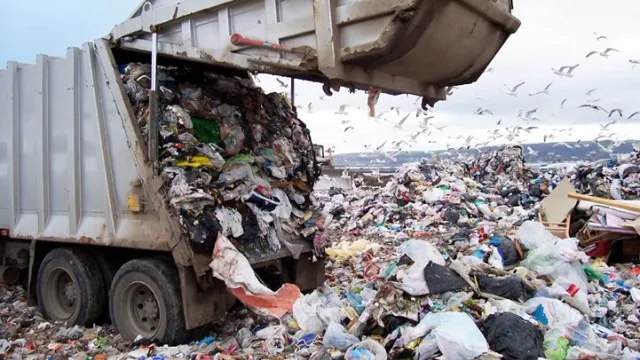Căuta prin gunoaie, dar nu se aştepta să găsească aşa ceva. A încremenit!