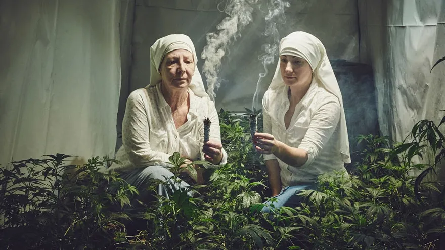Povestea măicuțelor care cresc marijuana! Cum decurge afacerea lor te va lăsa fără cuvinte!