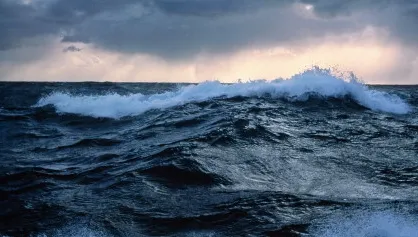 Descoperire uluitoare în adâncurile Oceanului Pacific. Seamănă cu o fantomă