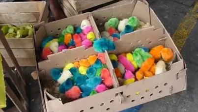 Un video ÎNFIORĂTOR demonstrează de ce vopsitul puişorilor pentru Paşte este crunt, şi NU "adorabil"