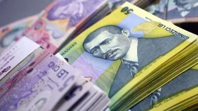 Veste bună pentru crescătorii de vaci și porcine! Ce sprijin financiar le va acorda Guvernul