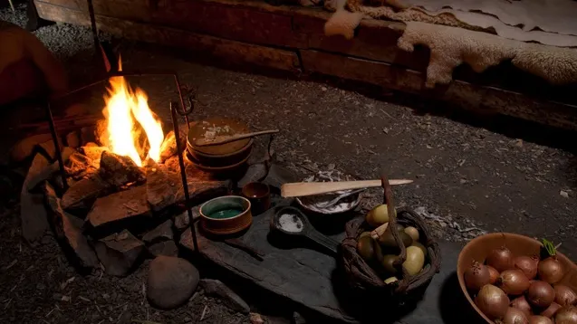 Cele mai bune leacuri naturiste pe care le foloseau vikingii