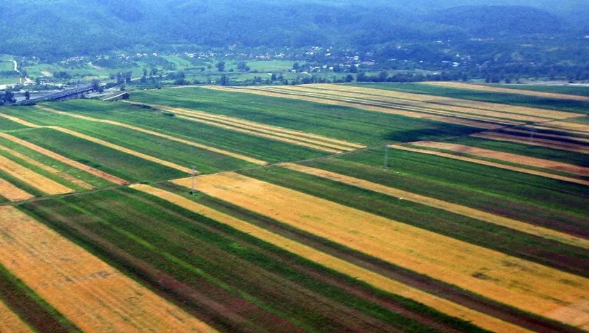 CULISELE STATULUI PARALEL. Culturile în România, din ce în ce mai mici