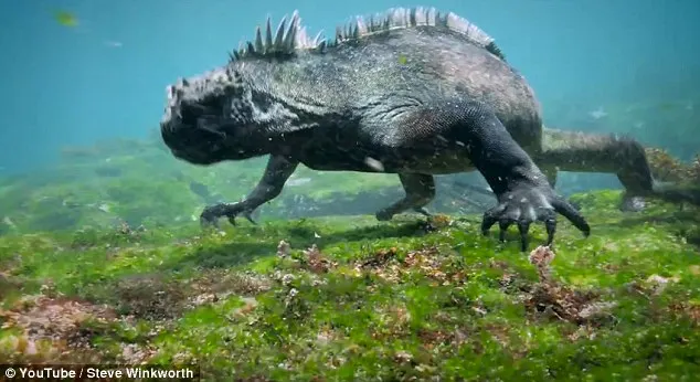 Doi scafandri au coborât în mare. Au dat peste monstrul Godzilla umanoidă. Au tras spaima vieţii