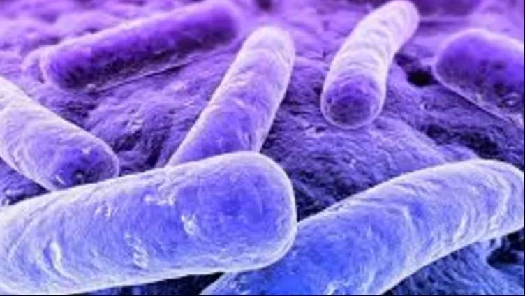 Această bacterie nu poate fi distrusă de niciun antibiotic. Cum ne ferim de ea