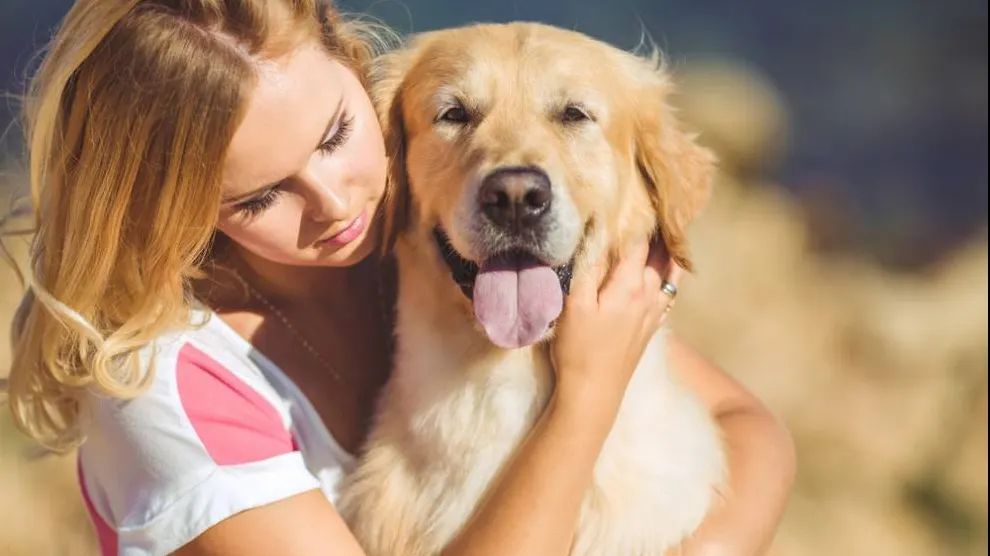 Îți strângi în brațe câinii? Lor nu le place. Ce spun medicii veterinari