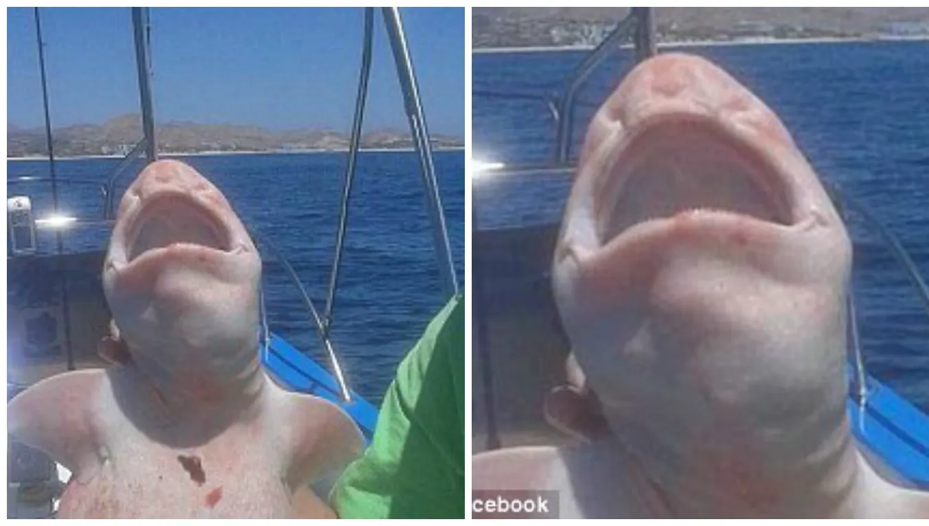 Monstrul tras din adâncul mării i-a speriat pe pescari