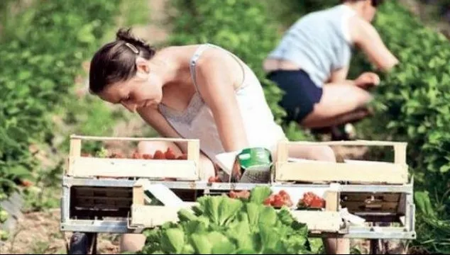 Românii care plecă la muncă în străinătate, atenționați de Inspecția Muncii