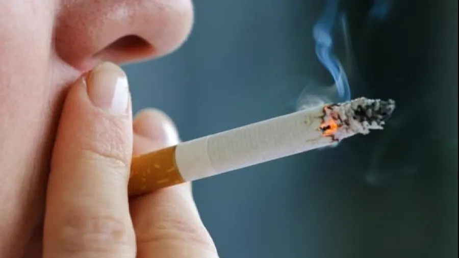 Condimentul care blochează efectele nocive ale fumului de țigară