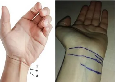 Numărul lor îți arată când vei muri. Tu câte linii ai la încheietura mâinii?