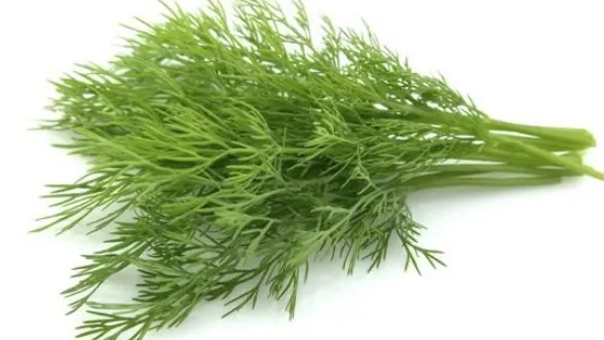 De ce nu trebuie să lipsească mărarul din alimentaţie. Iată la ce este bun!