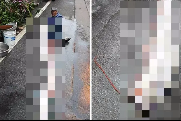 Monstrul „trezit” de cutremur. Captura unui pescar taiwanez a înspăimântat toți sătenii