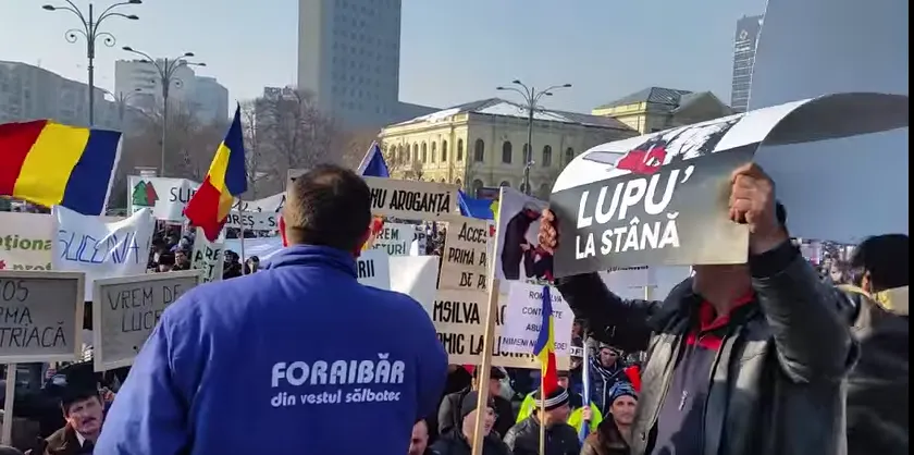 Pădurarii cer demisia ministrului Mediului Cristiana Pașca Palmer