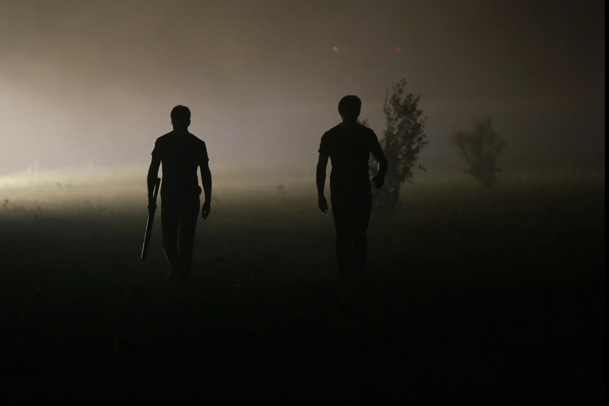 „Câini” – singurul film românesc din Competiția TIFF 2016