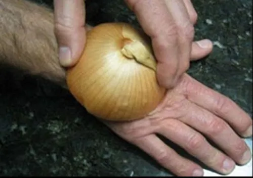 Proprietățile ASCUNSE ale cepei. Iată cât bine îți poate face această legumă!