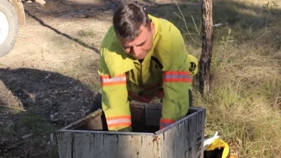 A găsit o cutie de lemn pe marginea drumului. Ce a găsit în interior i-a schimbat complet viaţa