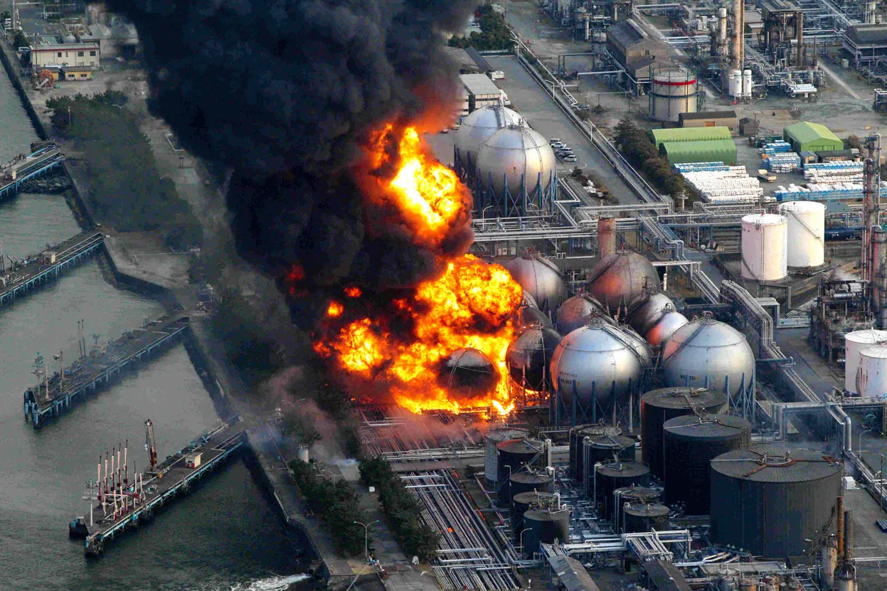 Cum sunt afectate plantele de radiații la Fukushima. Imaginile monstruoase au șocat planeta!