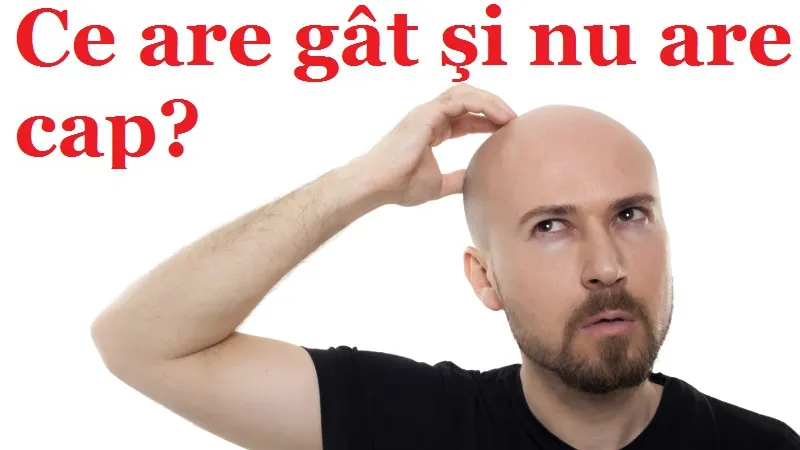 "Ce are gât şi nu are cap?" - Cea mai simplă întrebare din lume la care nu ştii să răspunzi