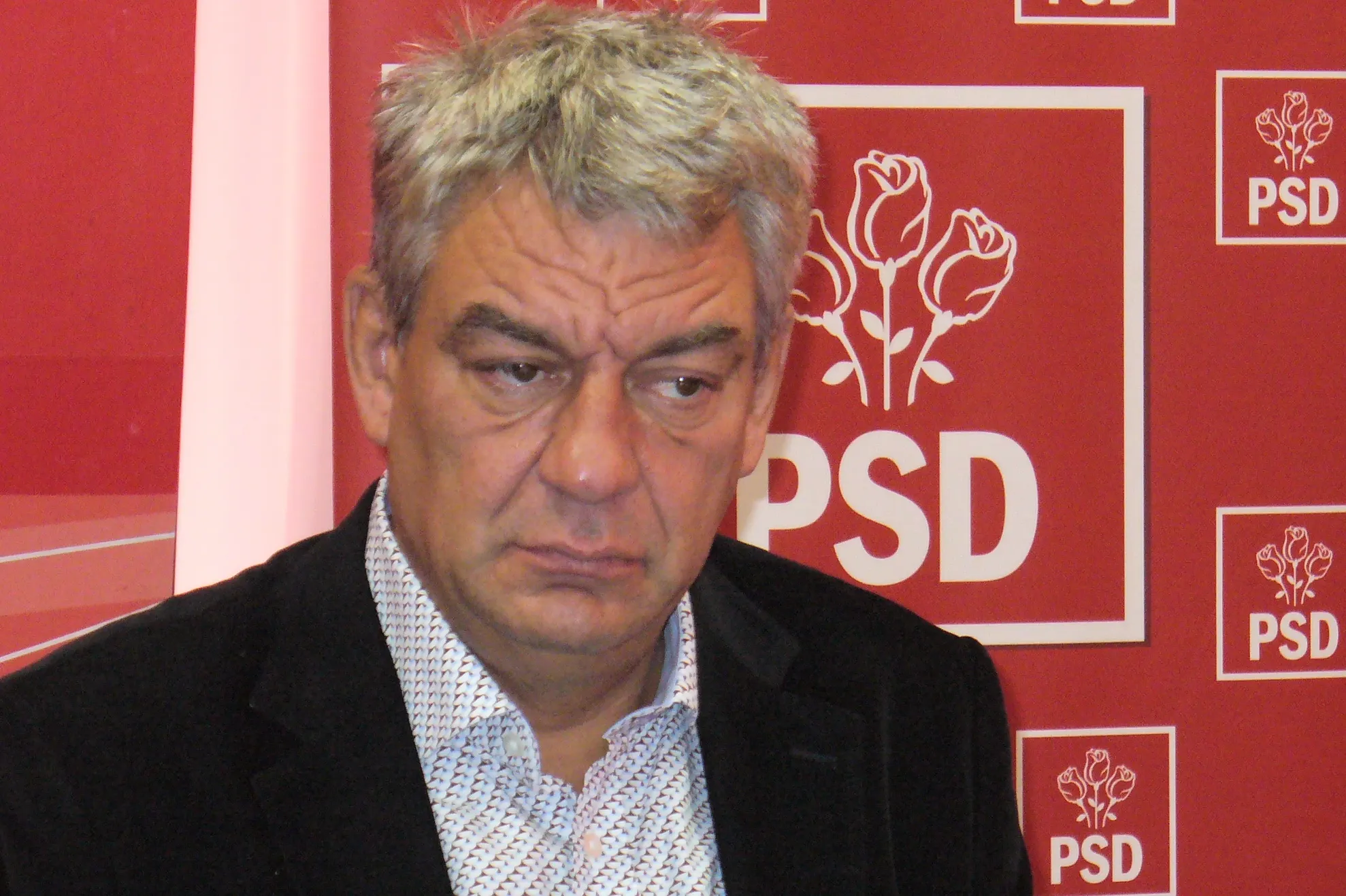 Lider PSD: Când de subvenţia de la vacă se ocupă un bou, subvenţia nu mai vine. Boii sunt misogini?