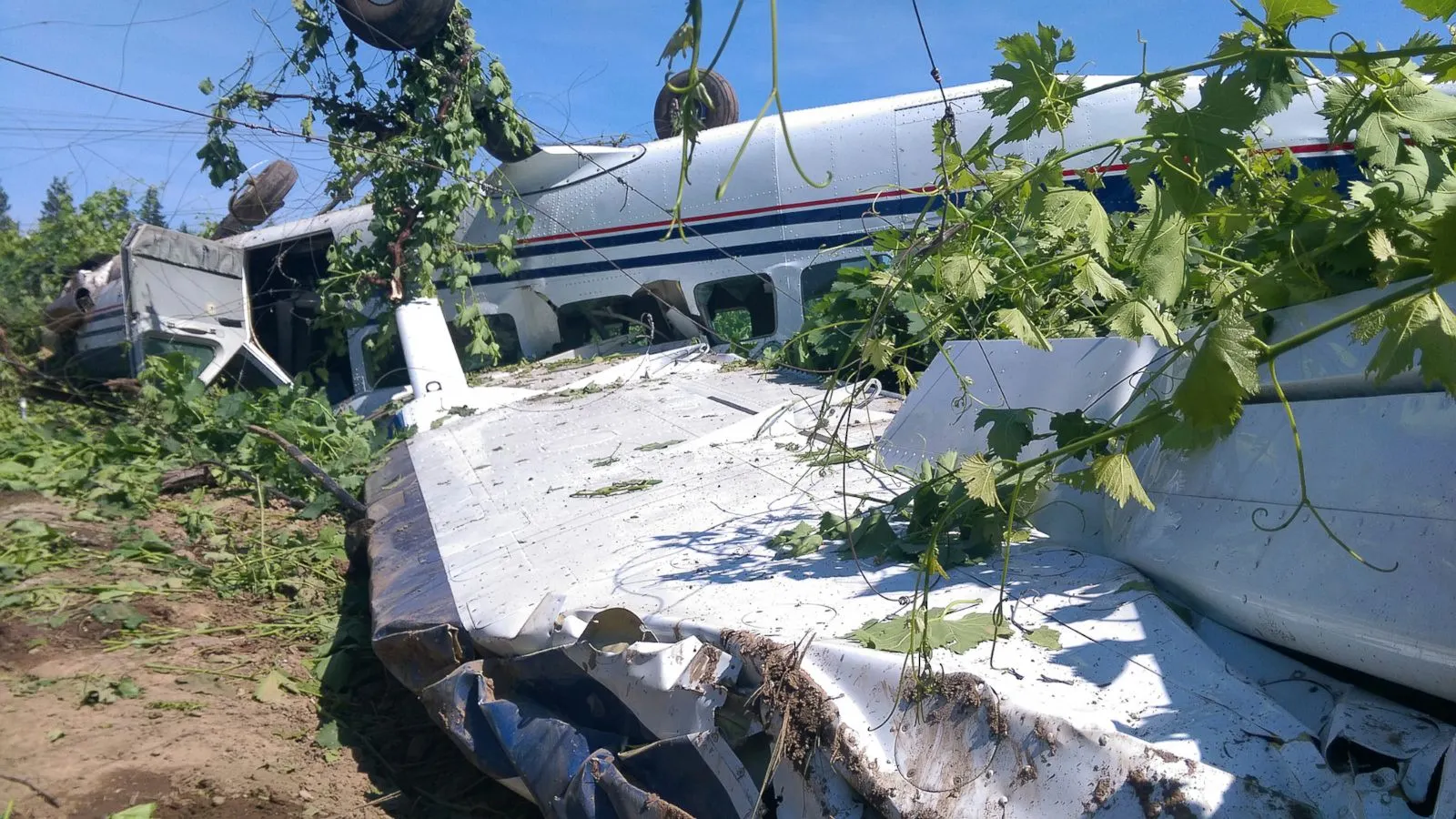 Un avion cu 17 pasageri la bord s-a prăbușit. Dezastrul a fost filmat