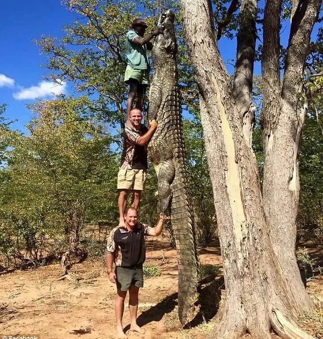 Au prins monstrul care teroriza localnicii. O întrebare teribilă a rămas însă fără răspuns