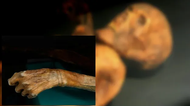 Cum arată cele mai VECHI tatuaje din lume. Au peste 5300 de ani. Află cui au aparținut