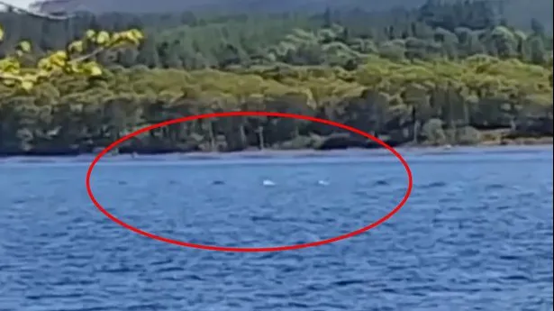A filmat lacul, dar când s-a uitat la imagini, s-a speriat. Cum arată creatura ciudată de sub apă