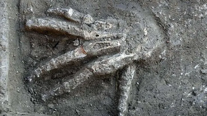 Descoperirea care i-a îngrozit pe arheologii egipteni