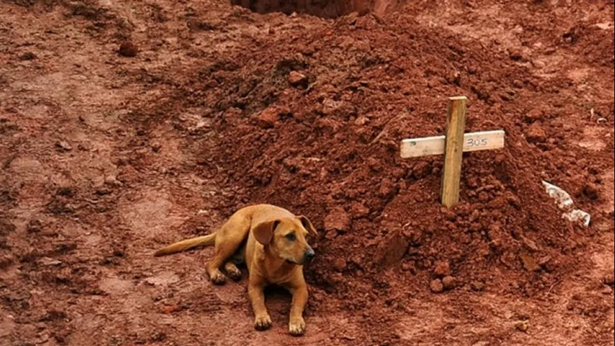 15 cele mai șocante imagini din toate timpurile. Rămâi fără cuvinte