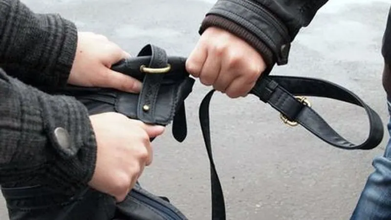 Le-a lovit, le-a doborât la pământ şi le-a furat geanta