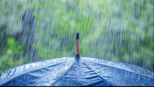 Vom avea o vară dificilă și cumplită. Ce spun meteorologii despre prognoza meteo pe următoarele luni