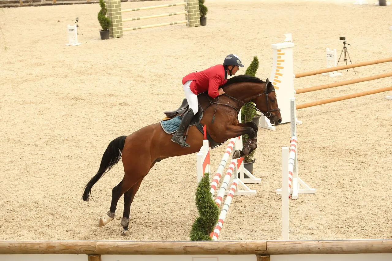 Competiția hipică internațională Salina Equines Horse Trophy a început. Proba de Obstacole
