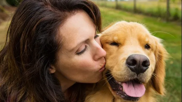 Sexul cu animale este OK, spune Curtea Supremă din această ţară