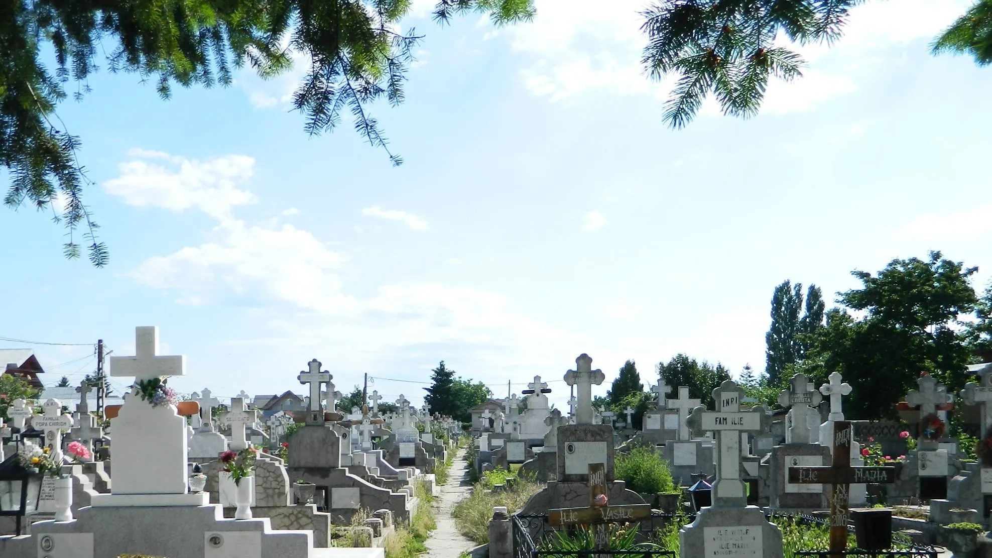 Fenomenul șocant care lovește în plin România. Se întâmplă în fiecare zi