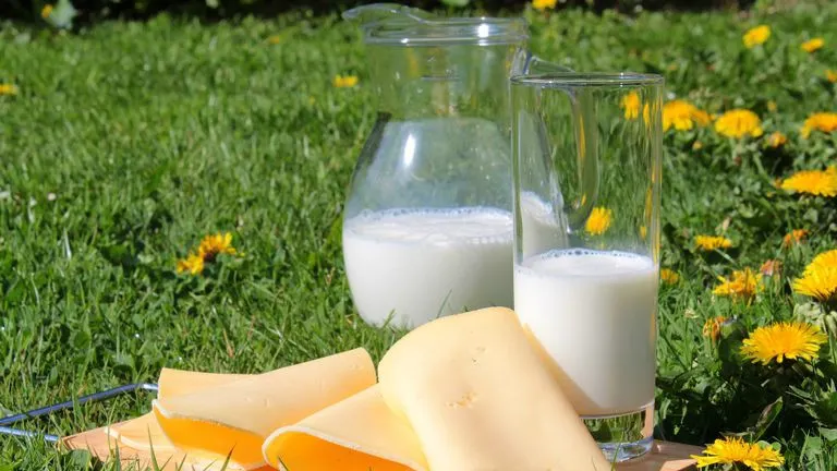 Ce se întâmplă cu corpul tău dacă renunți la produsele din lapte