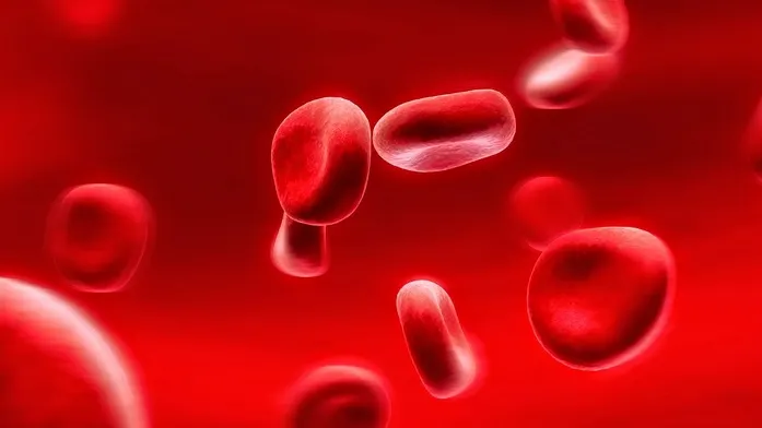 Alimentele rafinate reduc cromul din organism şi provoacă boli grave