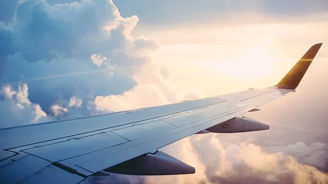 Dezvăluiri incredibile ale stewardeselor. 5 secrete din avion pe care pasagerii nu le știu