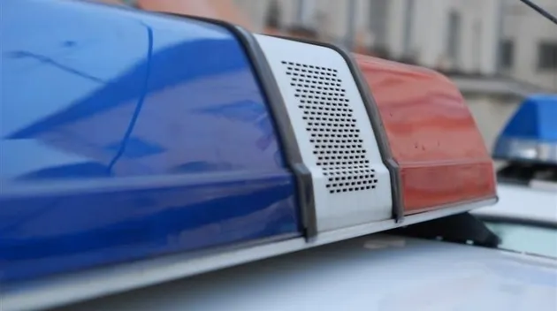 Poliţiştii au oprit un autocar pe autostrada A2.Când au văzut cine era la volan, agenţii au ÎNGHEŢAT