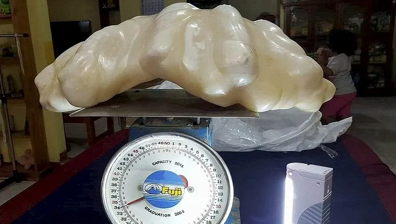 Un pescar a găsit o perlă de 34 kg hiper-prețioasă, dar a ținut-o 10 ani sub pat. Motivul, FABULOS