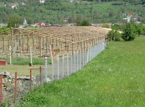 muncitori agricoli sezonieri