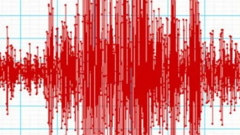 Cutremur important, în România, în urmă cu puţin timp UPDATE