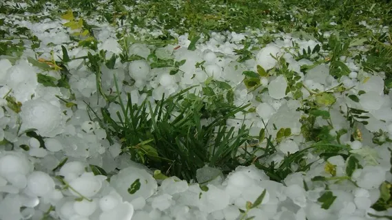 ALERTĂ METEO de ultimă oră. COD GALBEN în mai multe judeţe din ţară!