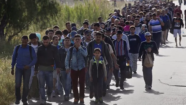MAI, în alertă din cauza imigranților! Măsuri sporite de securitate la granița cu Serbia
