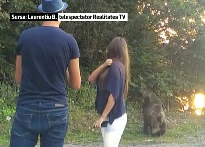 S-au oprit din drum să facă un selfie cu ursul pe Transfăgărăşan