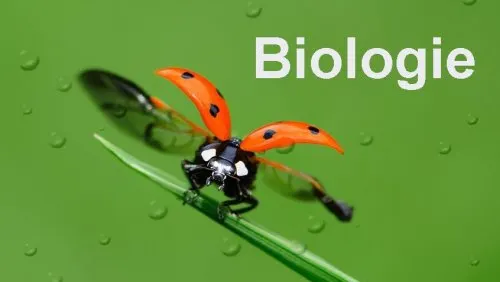 Subiecte BIOLOGIE BAC 2016 sesiunea august. Consultă AICI subiectele şi baremul la Biologie