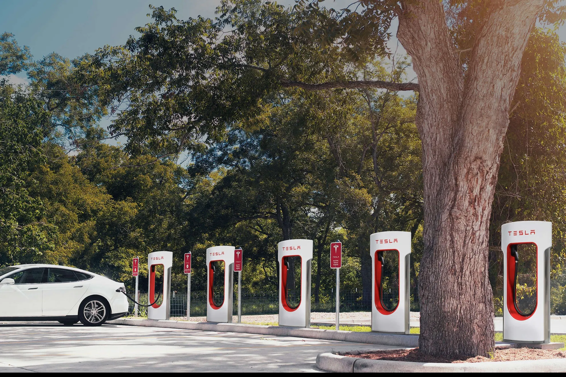 Tesla revoluționează piața automobilelor electrice. A fost lansată bateria care rezistă 600 de km